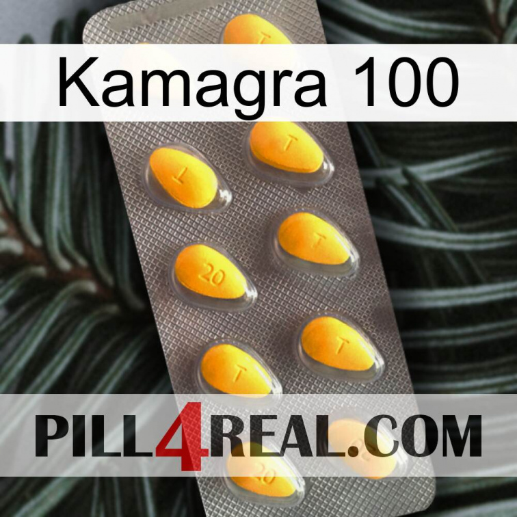 Kamagra 100 cialis1